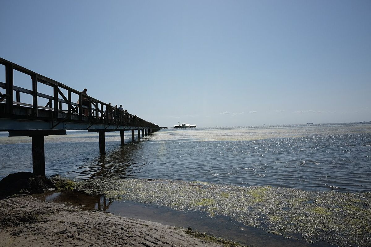 Långa Bryggan & Bjerreds Saltsjöbad